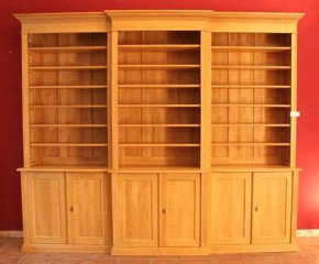 Bücherregal mit Schrank 6-türig Bücherregal DREIER9 Massivholz mit