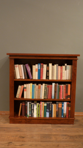 Massivholz Bücherregal im klassischen Stil EINER35