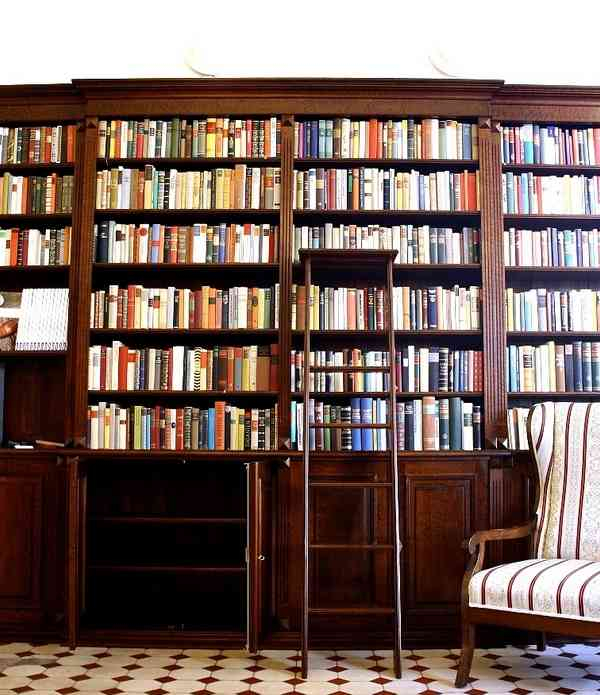 mittiger Vorbau mit Leiter der Regalwand WAND1 - Bild 10 mittiger Vorbau mit Leiter der Regalwand WAND1 - Bild 10