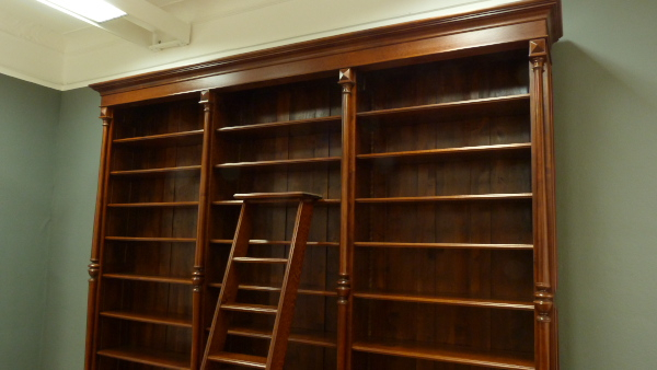 Massivholz Bücherregal mit Säulen und Leiter auch nach Maß