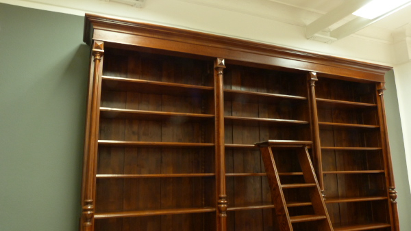 Massivholz Bücherregal mit Säulen und Leiter auch nach Maß