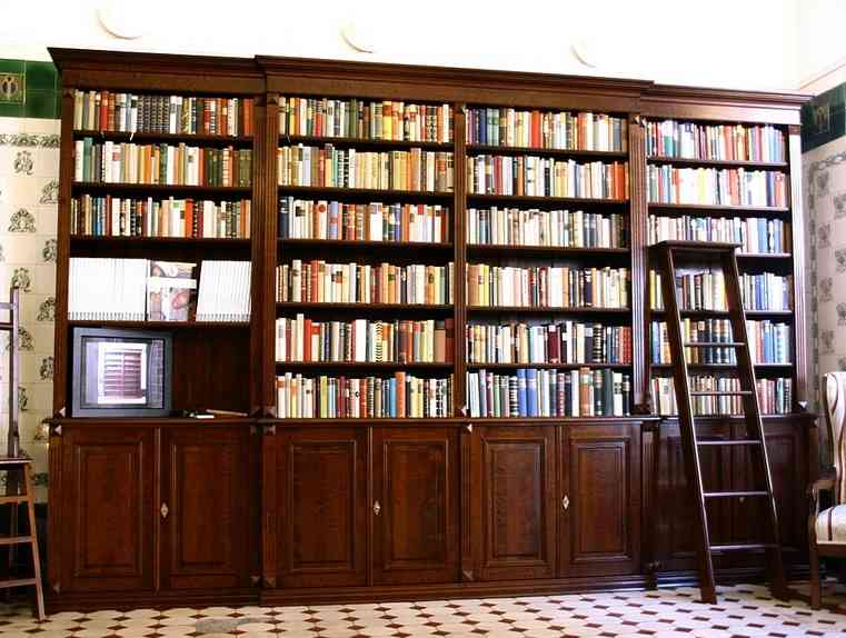 Regalwand aus Massivholz mit Türen und Leiter WAND1 - Bild 2